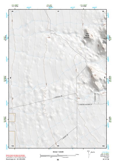 32111NE Page 93 Casa Grande Topo Preview 1