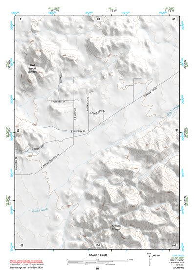 32111NE Page 94 Casa Grande Topo Preview 1