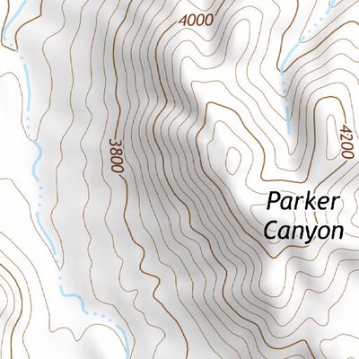 32111NE Page 96 Casa Grande Topo Preview 3
