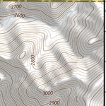 32111NE Page 105 Casa Grande Topo Preview 3