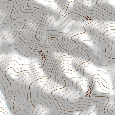 32111NE Page 106 Casa Grande Topo Preview 2