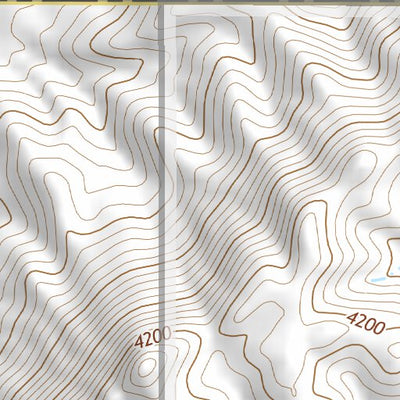 32111NE Page 107 Casa Grande Topo Preview 3
