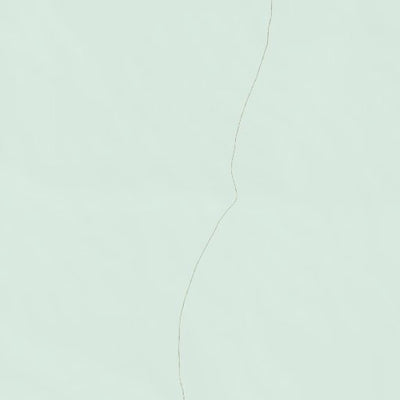 32113SE Page 81 Cabeza Prieta Mountains Topo Preview 2