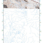 (32113a1) Page 075 Cabeza Prieta Mountains Preview 1