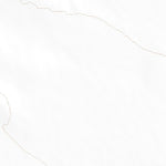 32115NW Page 66 El Centro Topo Preview 2
