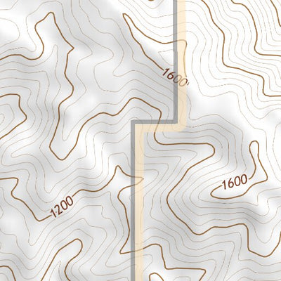 32116NE Page 10 El Cajon Topo Preview 3