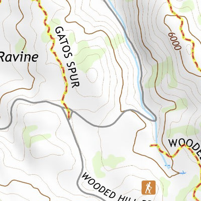 32116NE Page 26 El Cajon Topo Preview 2