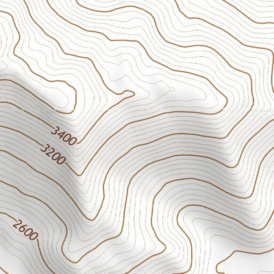 32116NE Page 29 El Cajon Topo Preview 3