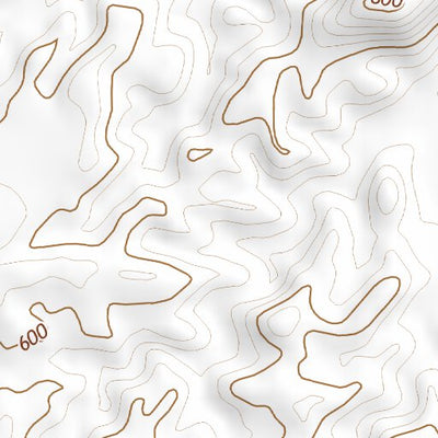 32116NE Page 35 El Cajon Topo Preview 3