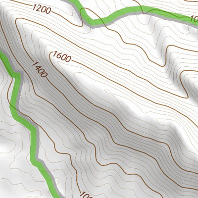 32116NE Page 36 El Cajon Topo Preview 3