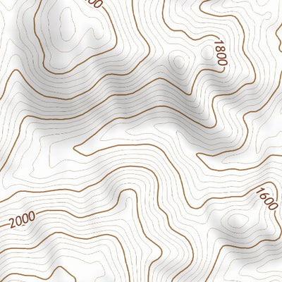 32116NE Page 43 El Cajon Topo Preview 3