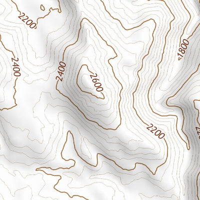 32116NE Page 84 El Cajon Topo Preview 3