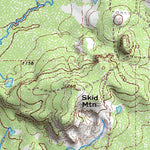 (33098a1) Page 045 Graham Preview 3