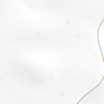 33102NE Page 48 Levelland Topo Preview 2