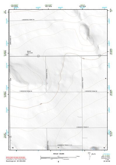 33103NE Page 5 Elida Topo Preview 1
