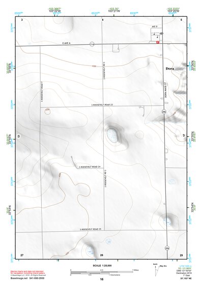 33103NE Page 16 Elida Topo Preview 1