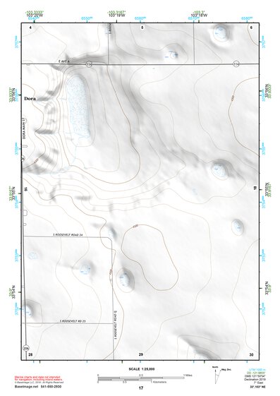33103NE Page 17 Elida Topo Preview 1