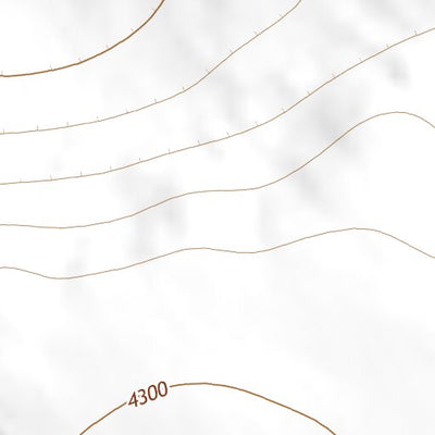 33103NE Page 17 Elida Topo Preview 2