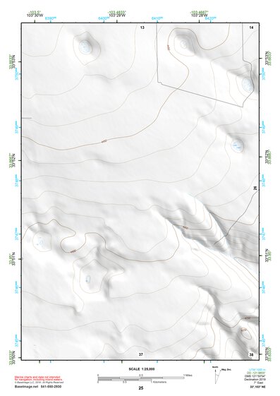 33103NE Page 25 Elida Topo Preview 1