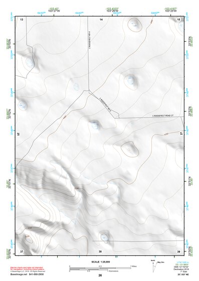 33103NE Page 26 Elida Topo Preview 1