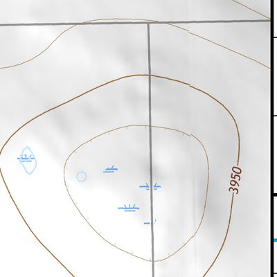 33103NE Page 36 Elida Topo Preview 3