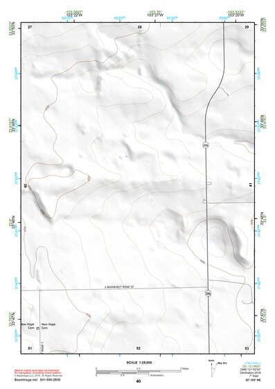 33103NE Page 40 Elida Topo Preview 1