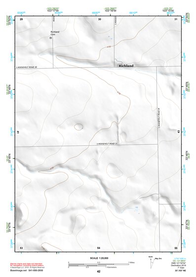33103NE Page 42 Elida Topo Preview 1