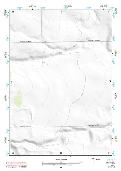 33103NE Page 44 Elida Topo Preview 1