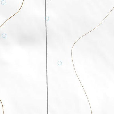 33103NE Page 47 Elida Topo Preview 2