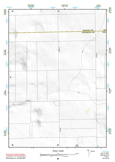 33103NE Page 48 Elida Topo Preview 1