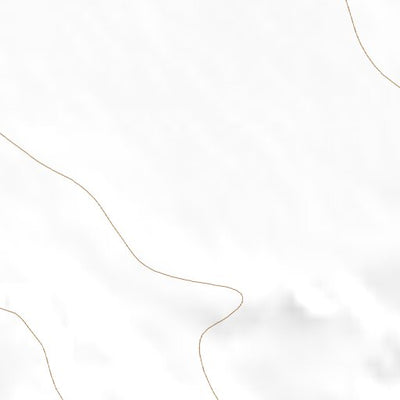 33103NE Page 59 Elida Topo Preview 2