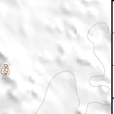 33103NE Page 63 Elida Topo Preview 3