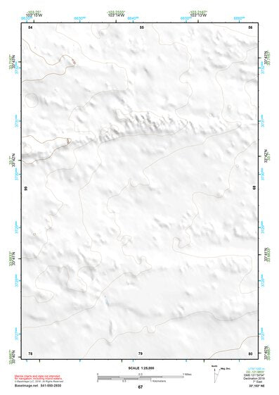 33103NE Page 67 Elida Topo Preview 1