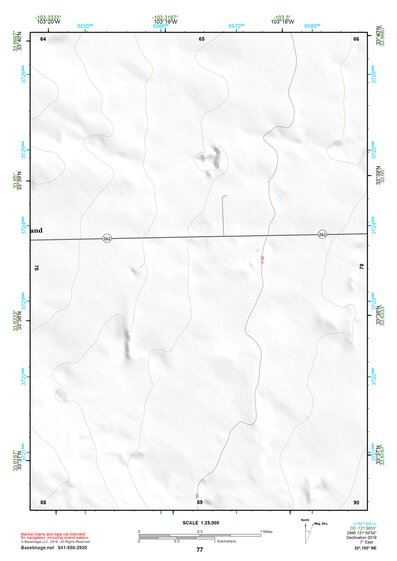 33103NE Page 77 Elida Topo Preview 1