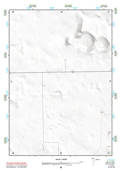 33103NE Page 78 Elida Topo Preview 1