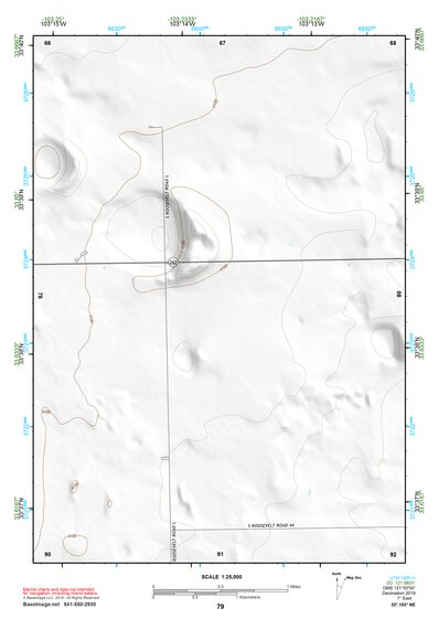 33103NE Page 79 Elida Topo Preview 1