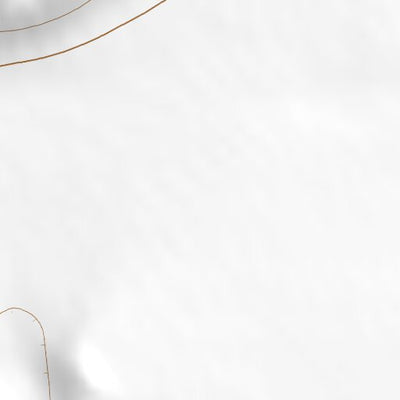 33103NE Page 79 Elida Topo Preview 2