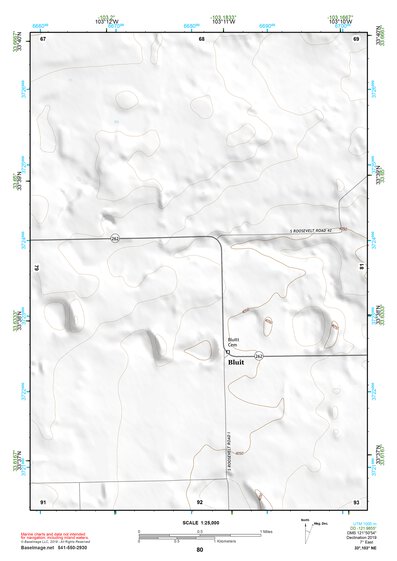 33103NE Page 80 Elida Topo Preview 1