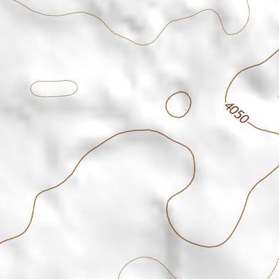 33103NE Page 81 Elida Topo Preview 3