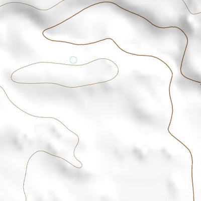 33103NE Page 82 Elida Topo Preview 3