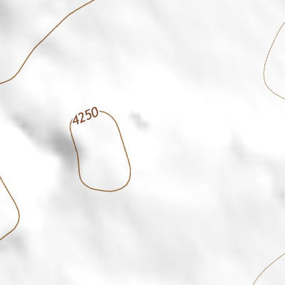 33103NE Page 86 Elida Topo Preview 2