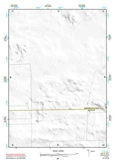 33103NE Page 87 Elida Topo Preview 1