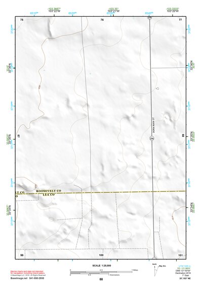 33103NE Page 88 Elida Topo Preview 1