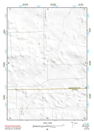 33103NE Page 90 Elida Topo Preview 1