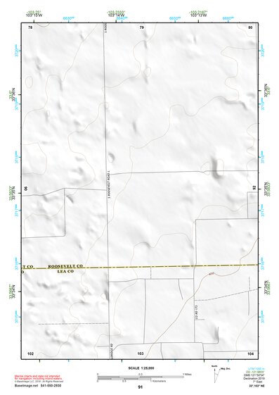 33103NE Page 91 Elida Topo Preview 1