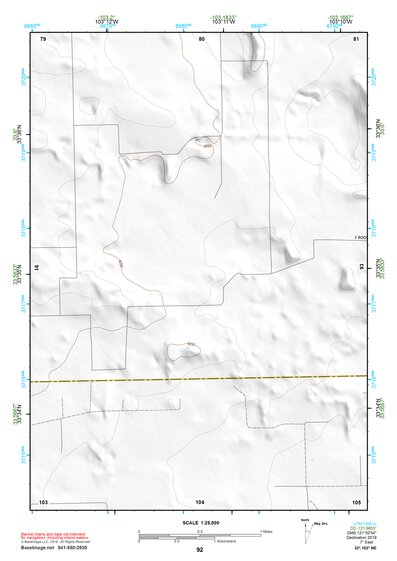 33103NE Page 92 Elida Topo Preview 1