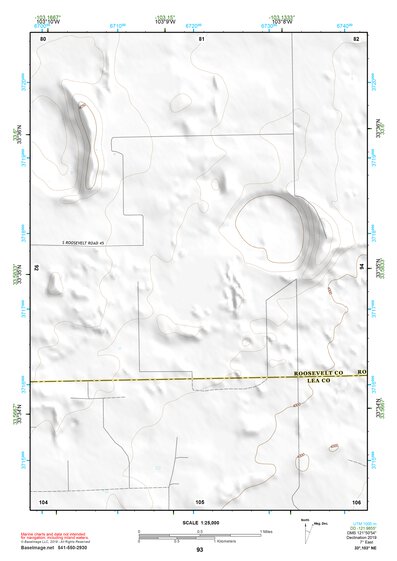 33103NE Page 93 Elida Topo Preview 1