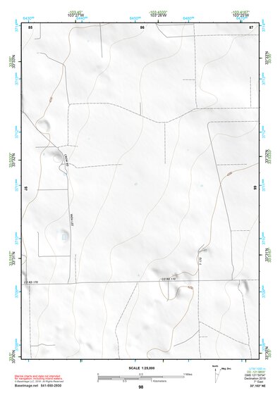 33103NE Page 98 Elida Topo Preview 1