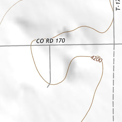 33103NE Page 98 Elida Topo Preview 3