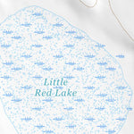 33104NE Page 72 Salt Creek Topo Preview 3